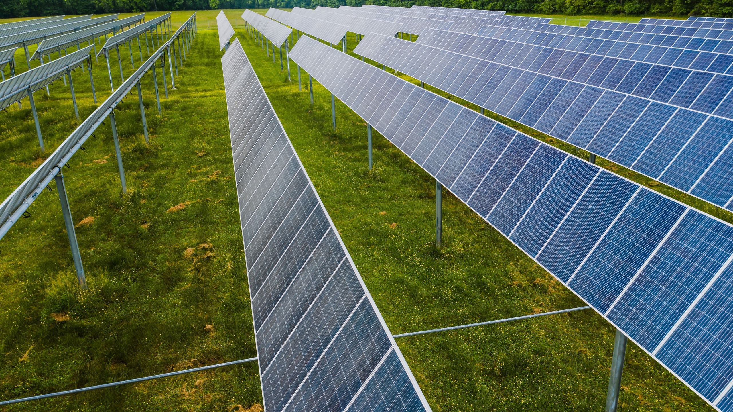 Vista panorâmica de uma usina fotovoltaica da blu. no Paraná ao entardecer